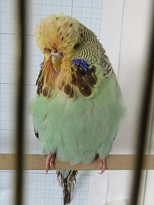 Участник №43 фото