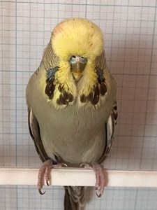 Участник №45 фото