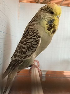 Участник №45 фото