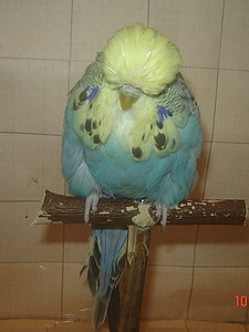 Участник №46 фото