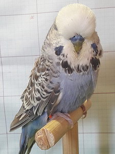 Участник №47 фото