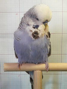 Участник №47 фото