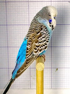 Участник №48 фото