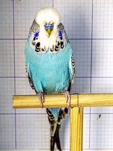 Участник №48 фото