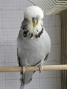 Участник №49 фото