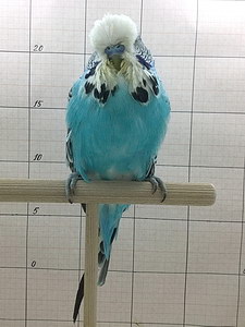 Участник №5 фото