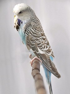 Участник №52 фото