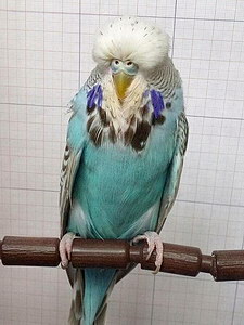 Участник №52 фото