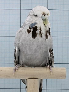 Участник №53 фото