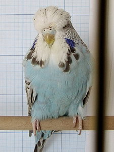 Участник №54 фото