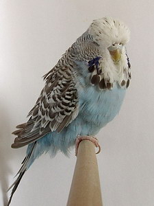 Участник №54 фото