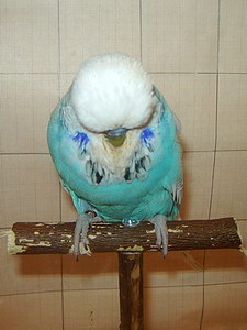 Участник №56 фото