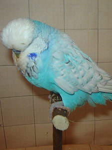 Участник №56 фото