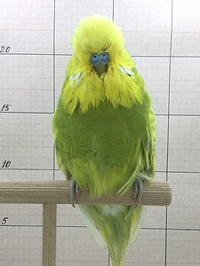 Участник №58 фото