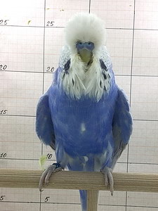 Участник №59 фото