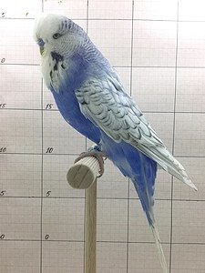 Участник №59 фото