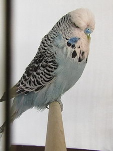 Участник №6 фото