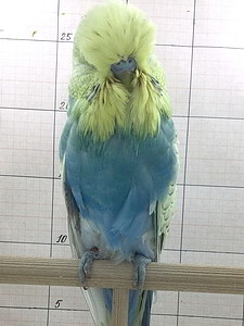 Участник №60 фото