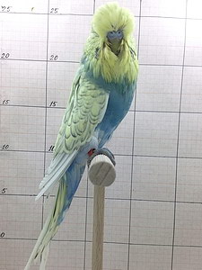 Участник №60 фото