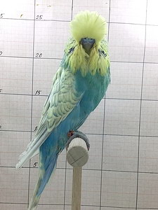 Участник №61 фото