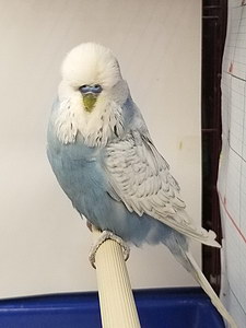 Участник №62 фото