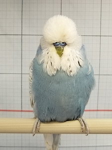 Участник №62 фото