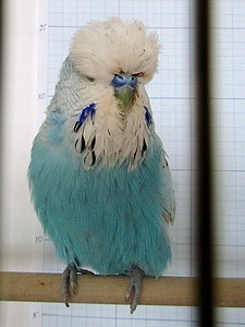 Участник №63 фото