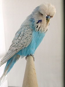 Участник №63 фото