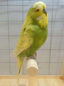 Участник №64 фото