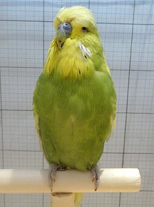 Участник №64 фото