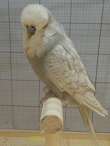 Участник №65 фото