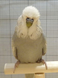 Участник №65 фото