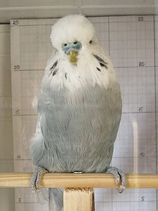 Участник №67 фото