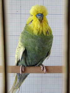 Участник №69 фото