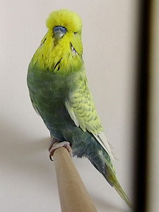 Участник №69 фото