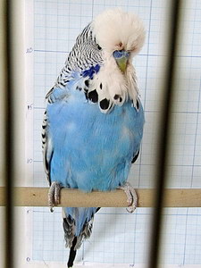 Участник №7 фото