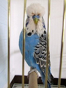 Участник №7 фото