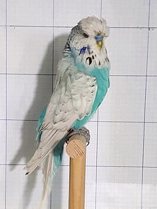 Участник №72 фото