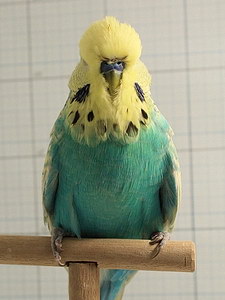 Участник №73 фото