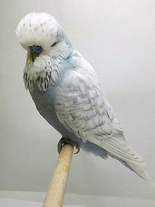 Участник №74 фото