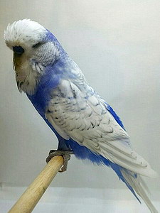 Участник №75 фото