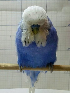 Участник №75 фото