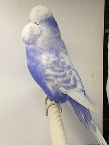 Участник №76 фото