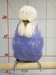 Участник №76 фото