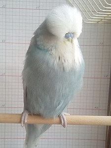 Участник №78 фото