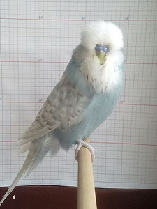 Участник №78 фото