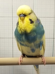 Участник №79 фото