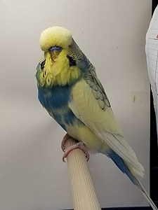 Участник №79 фото