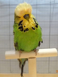 Участник №8 фото