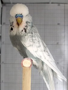 Участник №80 фото